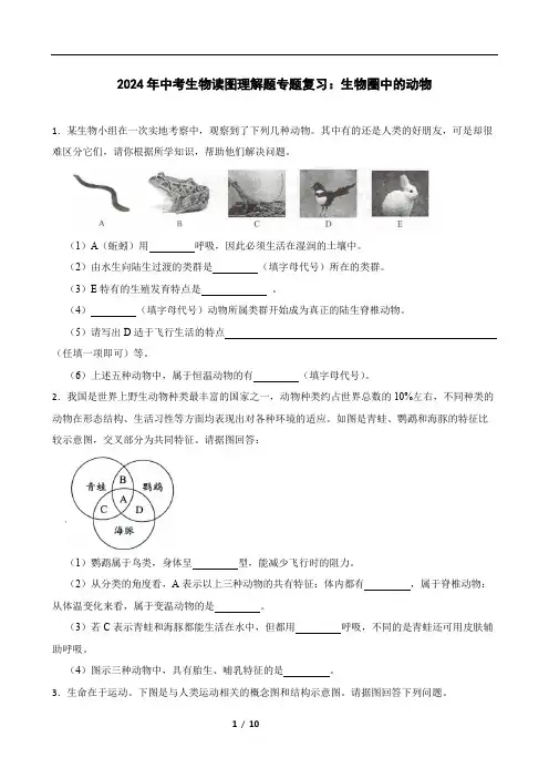 2024年中考生物读图理解题专题复习：生物圈中的动物