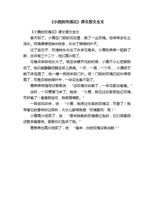 《小鹿的玫瑰花》课文原文全文