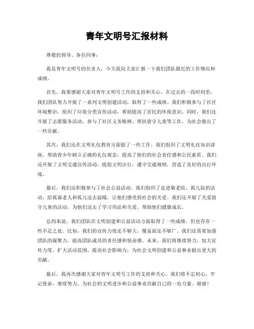 青年文明号汇报材料
