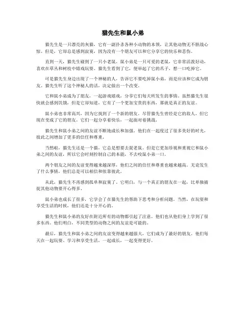 猫先生和鼠小弟