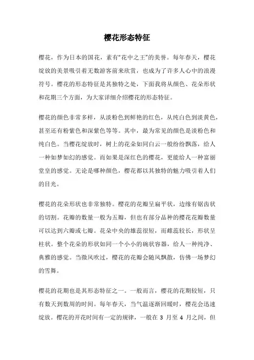 樱花形态特征