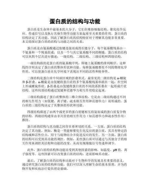 蛋白质的结构与功能
