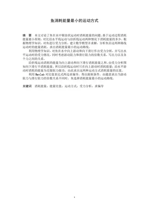 鱼游动模型