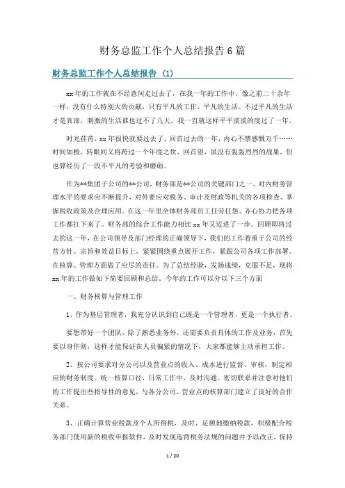 财务总监工作个人总结报告6篇