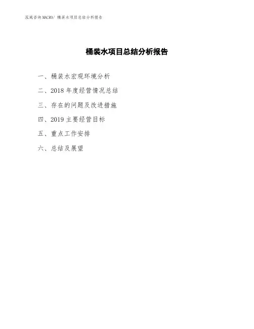 桶装水项目总结分析报告