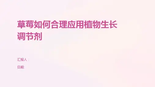 草莓如何合理应用植物生长调节剂