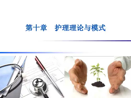 第十章   护理理论与模式