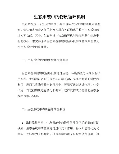 生态系统中的物质循环机制