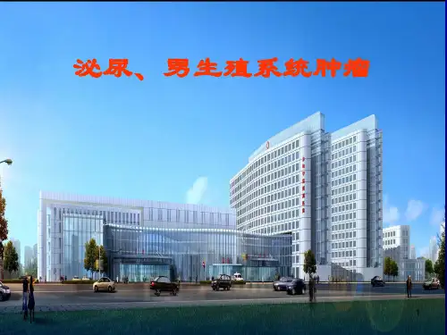 泌尿男生殖系统肿瘤ppt课件