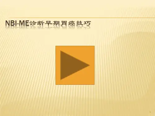 NBIME诊断早期胃癌技巧PPT课件