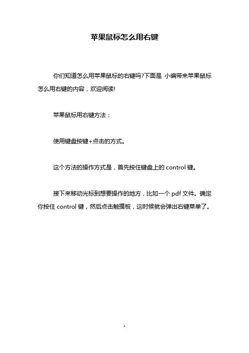苹果鼠标怎么用右键