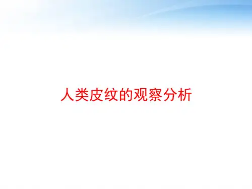 人类皮纹的观察分析 ppt课件