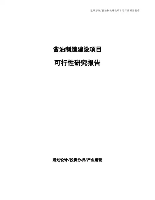 酱油制造建设项目可行性研究报告