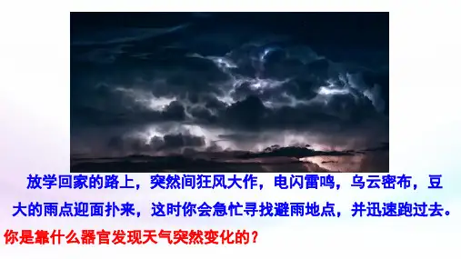 人体生命活动的调节-中考生物复习课件 (共30张PPT)