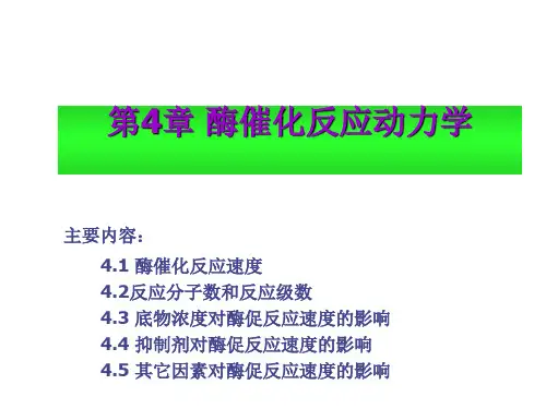 第四章 酶促反应动力学