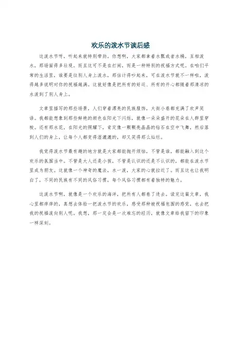 欢乐的泼水节读后感