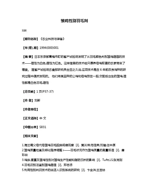 雏鸡性别羽毛判