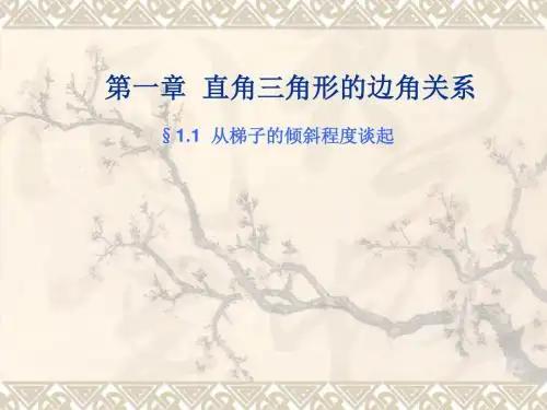 北师大版九年级下册数学第一章 直角三角形的边角关系1.1从梯子的倾斜程度谈起ppt课件