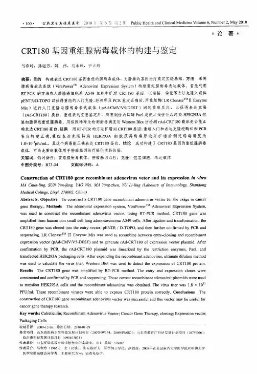 CRTl80基因重组腺病毒载体的构建与鉴定