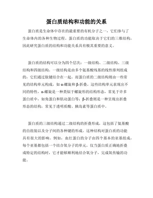 蛋白质结构和功能的关系