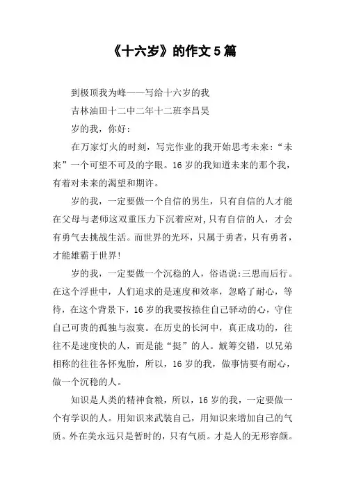 《十六岁》的作文5篇