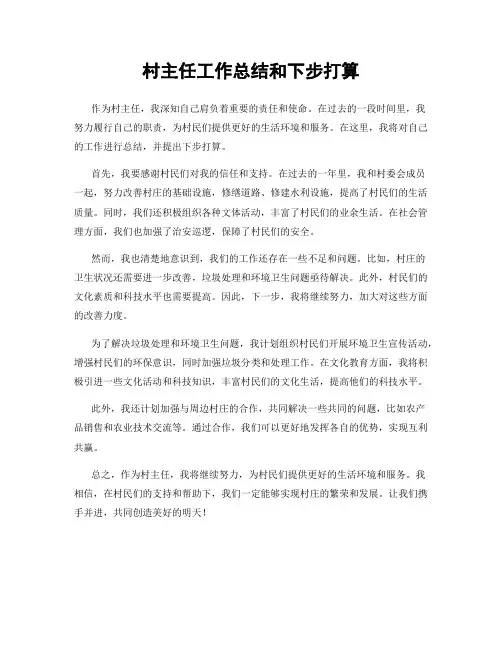 村主任工作总结和下步打算