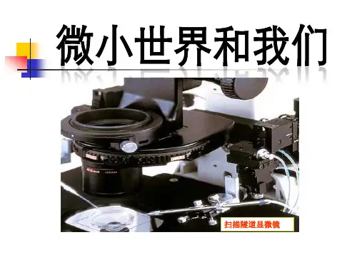 《微小世界和我们》微小世界3-教科版六年级科学下册PPT课件