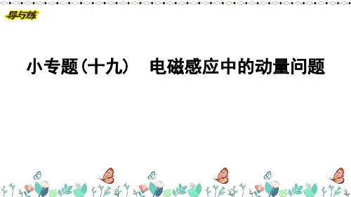 小专题(十九) 电磁感应中的动量问题