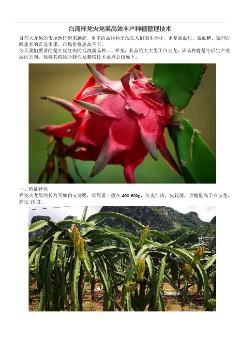 台湾祥龙火龙果高效丰产种植管理技术