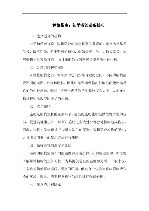 种植指南：初学者的必备技巧
