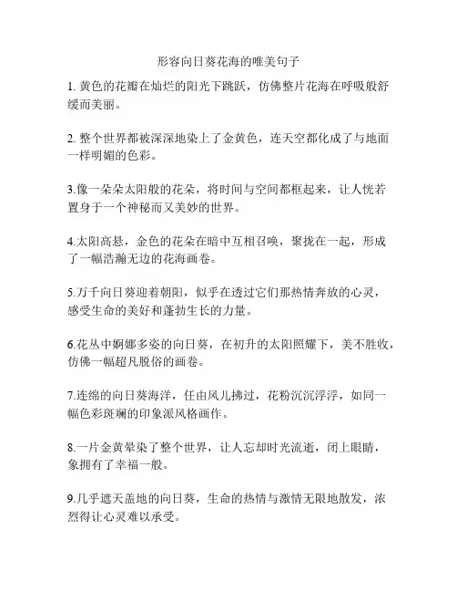 形容向日葵花海的唯美句子