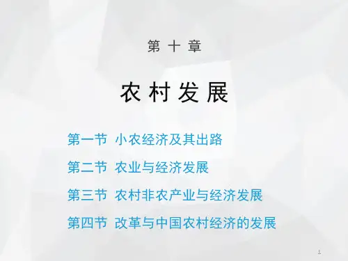 10章-课件-发展经济学第4版教学-马春文