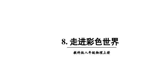 教科版八年级物理上册第四章 在光的世界里 8.走进彩色世界 课件