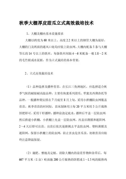 秋季大棚厚皮甜瓜立式高效栽培技术