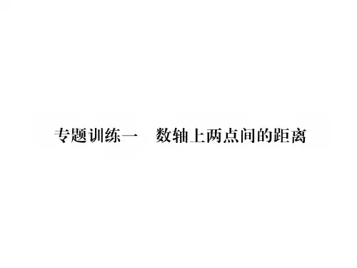秋七年级数学沪科版上册课件：专题训练1 数轴上两点间的距离 (共11张PPT)