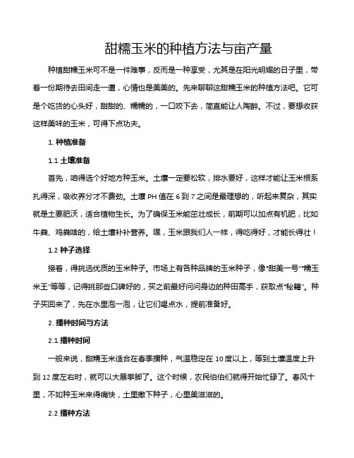甜糯玉米的种植方法与亩产量