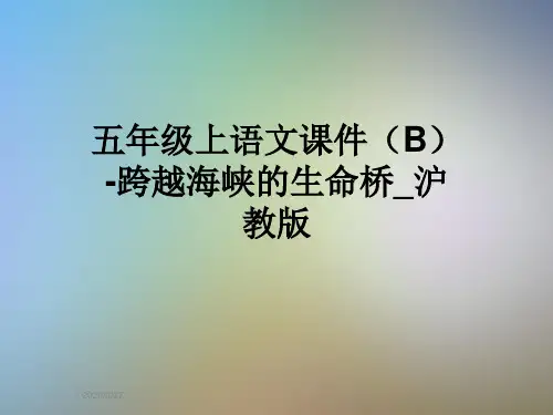 五年级上语文课件(B)-跨越海峡的生命桥_沪教版