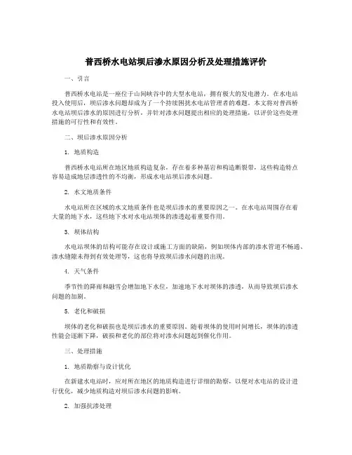 普西桥水电站坝后渗水原因分析及处理措施评价