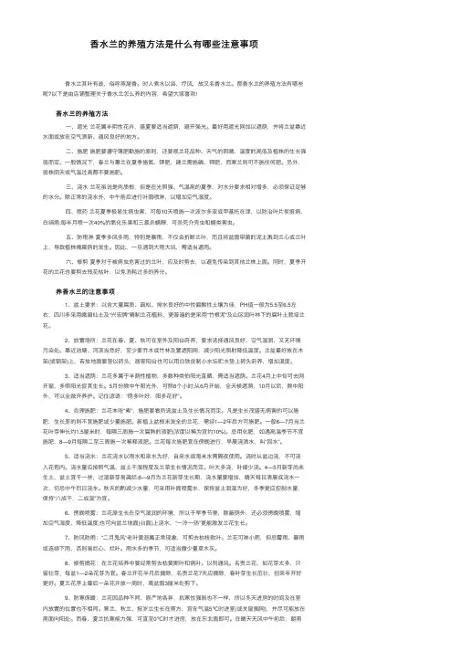 香水兰的养殖方法是什么有哪些注意事项