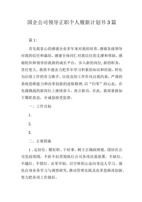 国企公司领导正职个人履新计划书3篇