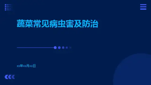 蔬菜常见病虫害及防治