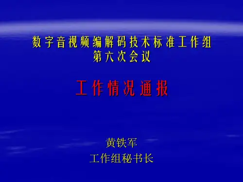 数字音视频编解码技术标准工作组