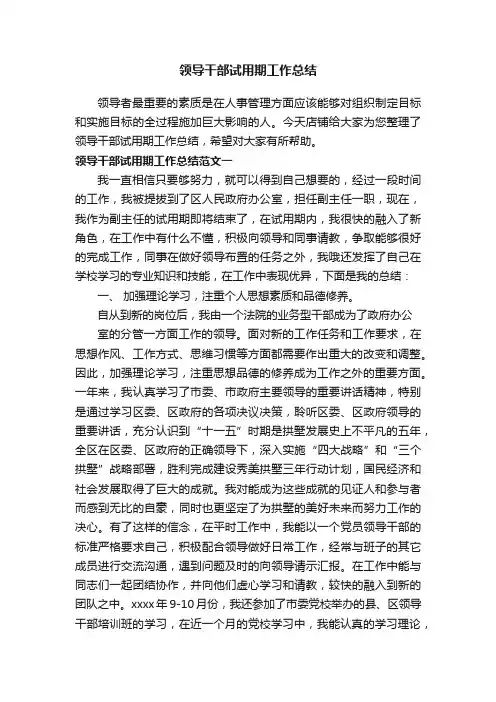 领导干部试用期工作总结