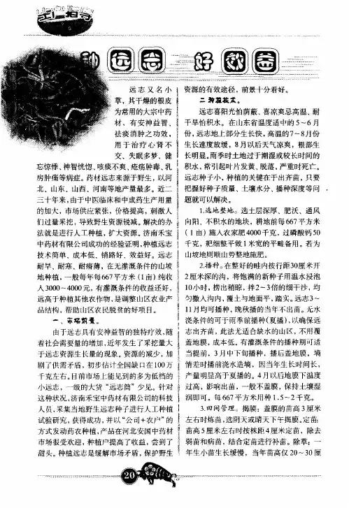 种远志 好效益