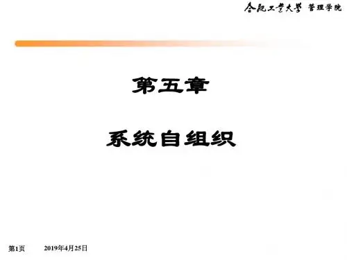 组织设计-系统自组织概述(PPT32页)
