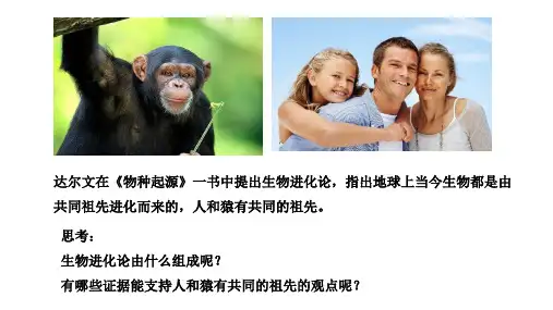 生物有共同祖先的证据课件(共35张PPT)高中生物人教版2019必修二