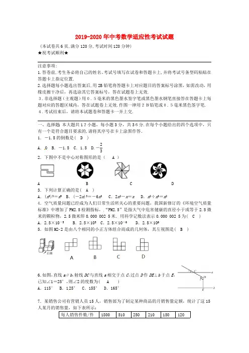 2019-2020年中考数学适应性考试试题(最新整理)