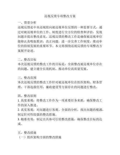 巡视反馈专项整改方案