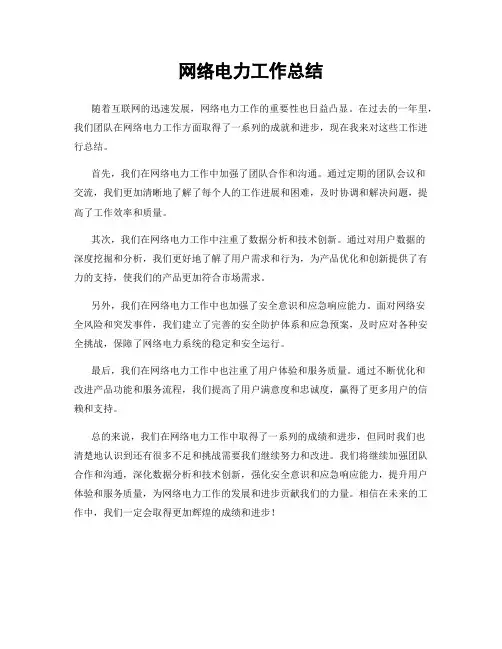 网络电力工作总结