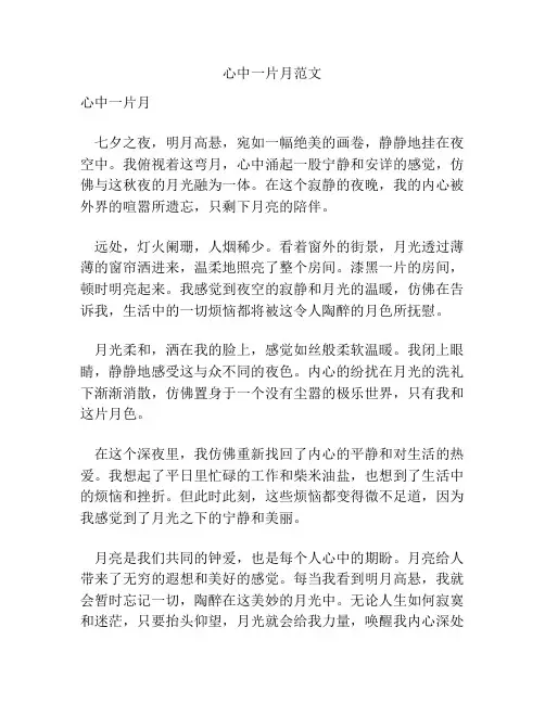 心中一片月范文